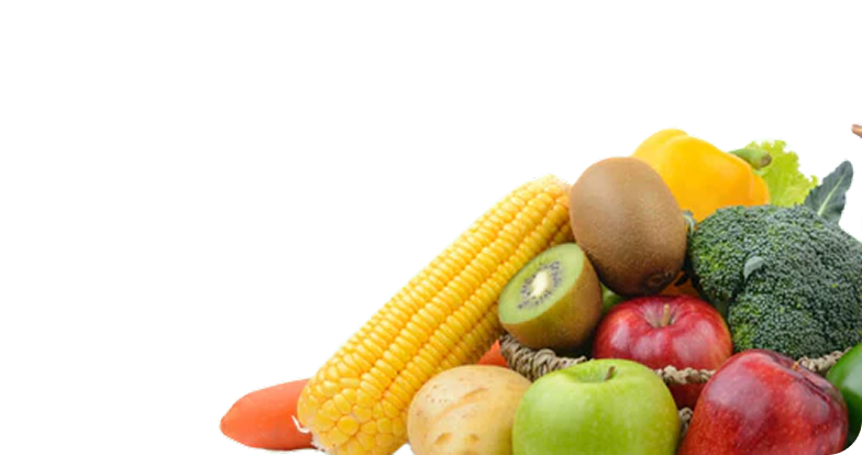 Media card image
